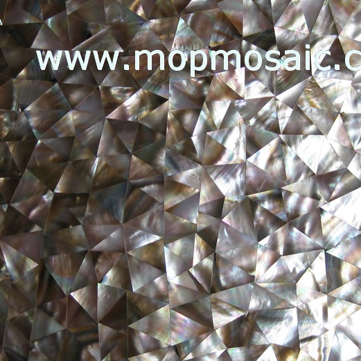 Triangle brownlip shell tiles