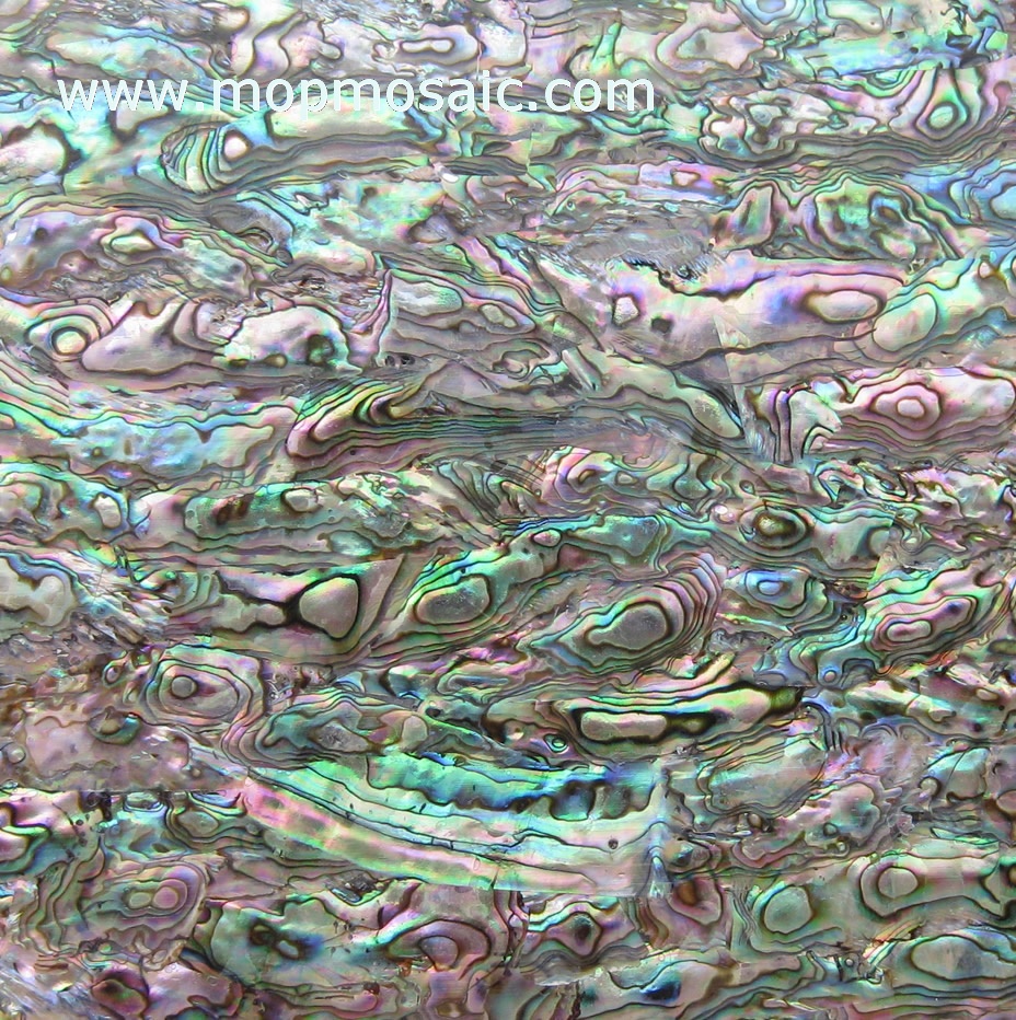 Abalone Shell Paper,Abalone Shell Veneer