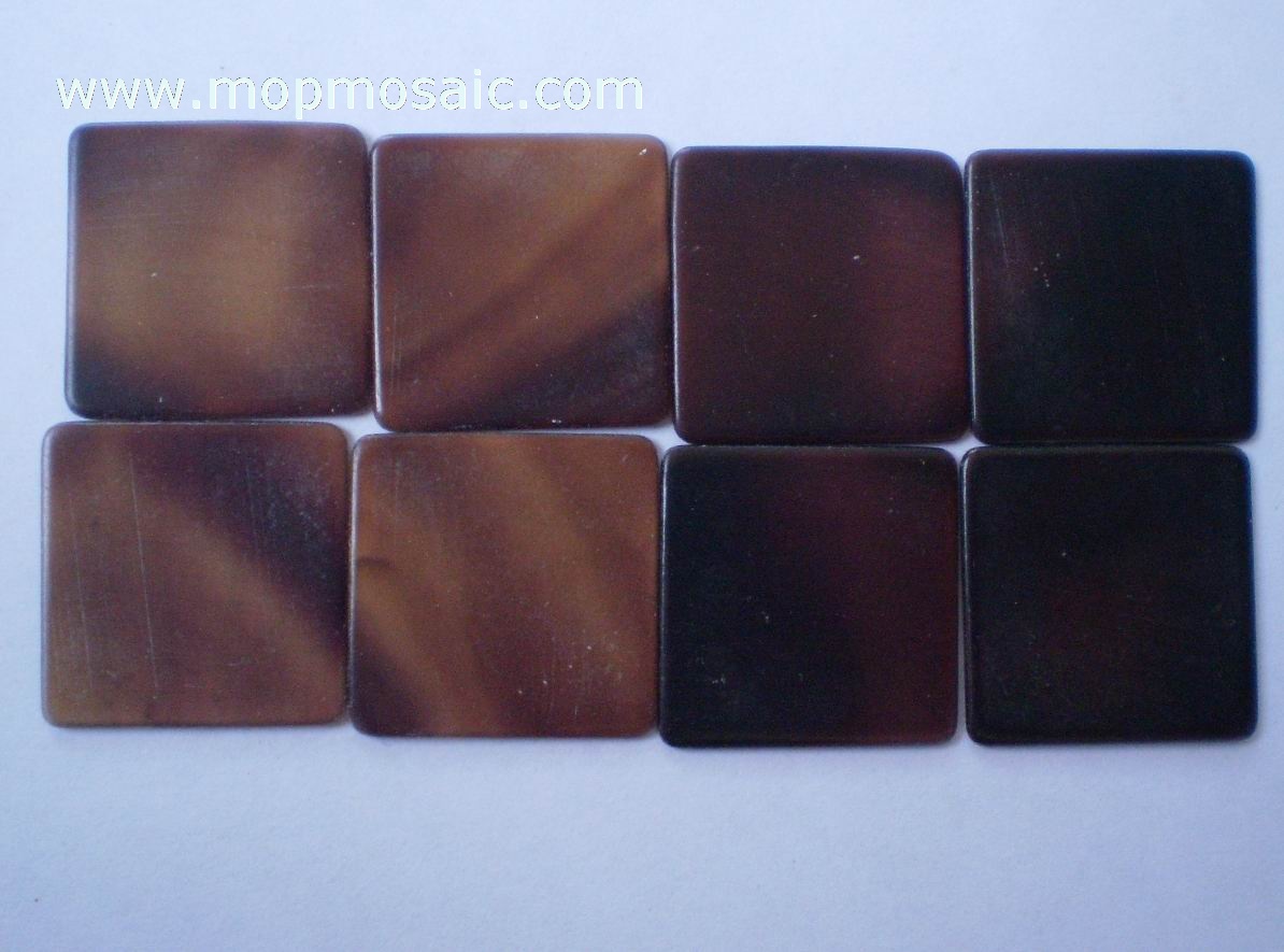 Pen Shell Tiles