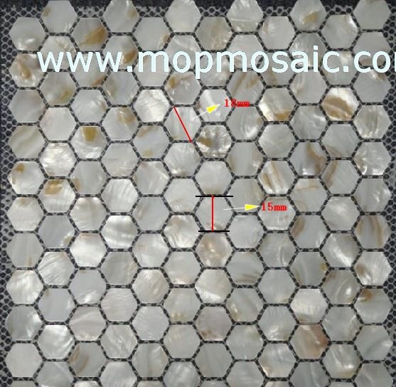 River shell mosaic