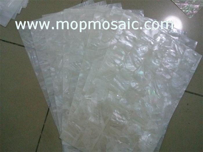 whitelip shell paper