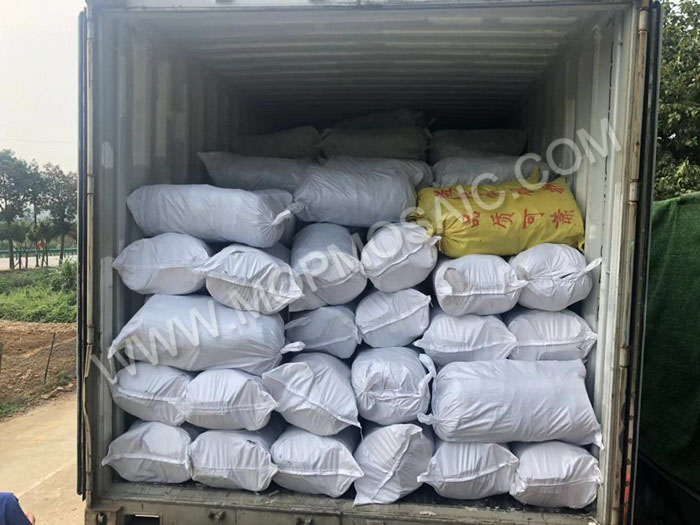 Bulk sales chinese white mop freshwater raw shells for jewelry and crafts making