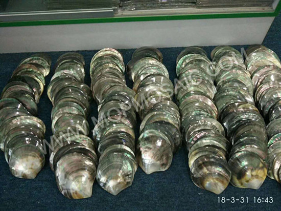 Polished natural blacklip raw mop shells for home handicrafts